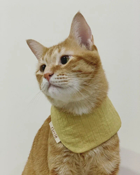 Circle Studio領巾 零碼區