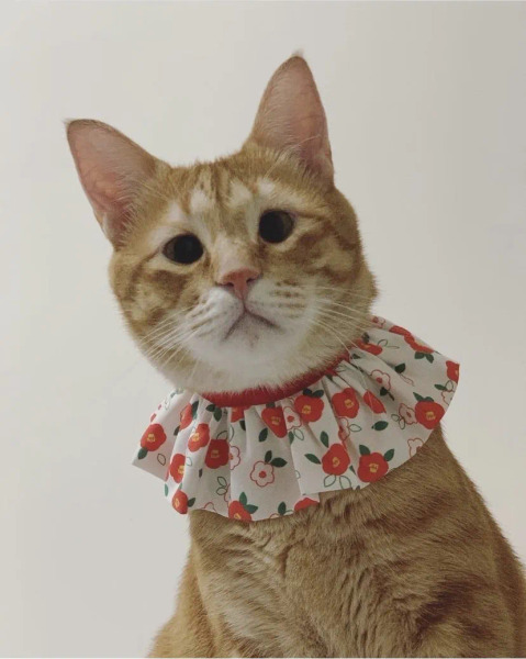 Circle Studio領巾 零碼區