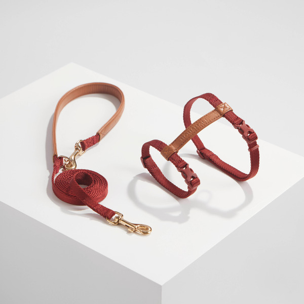 SCOUT寵物外出H型胸背帶