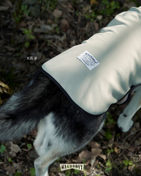 時毛小孩 防潑水跑跑衣 山茶