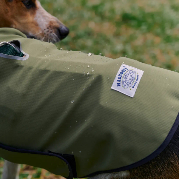 時毛小孩 防潑水跑跑衣 原野