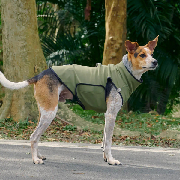 時毛小孩 防潑水跑跑衣 原野