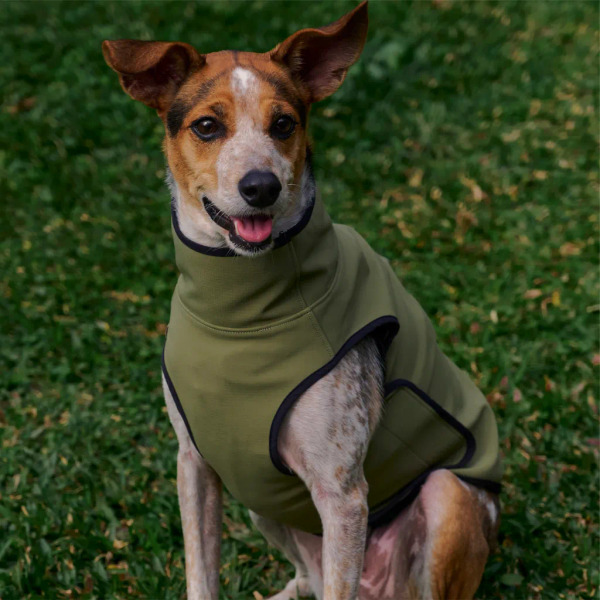 時毛小孩 防潑水跑跑衣 原野