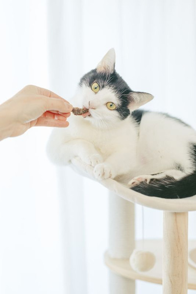 ねころび 北海道鮭魚酥 (貓用)