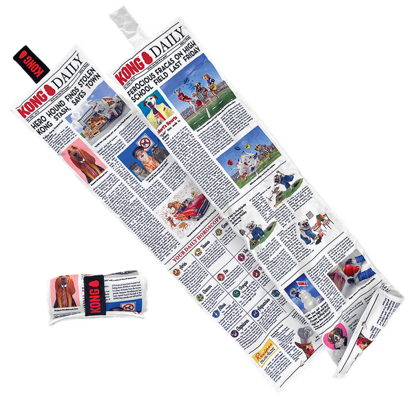 KONG 巨大日報