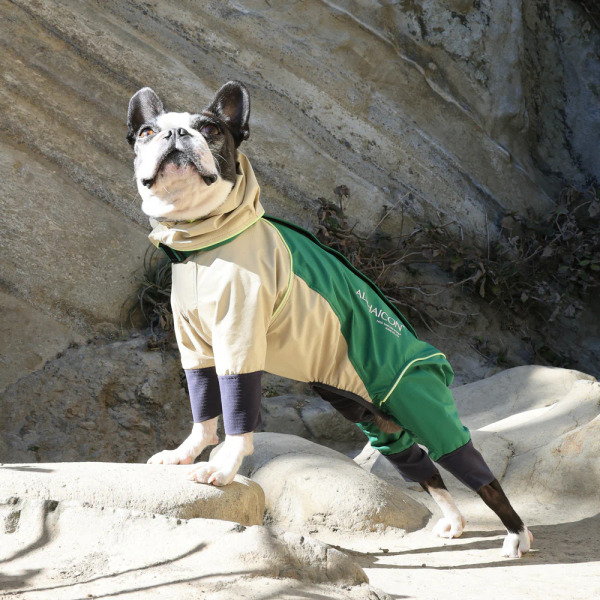 ALPHAICON 雨衣 2025年款