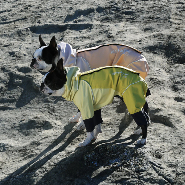 ALPHAICON 雨衣 2025年款