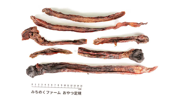 MichinokuFarm 馬鞭