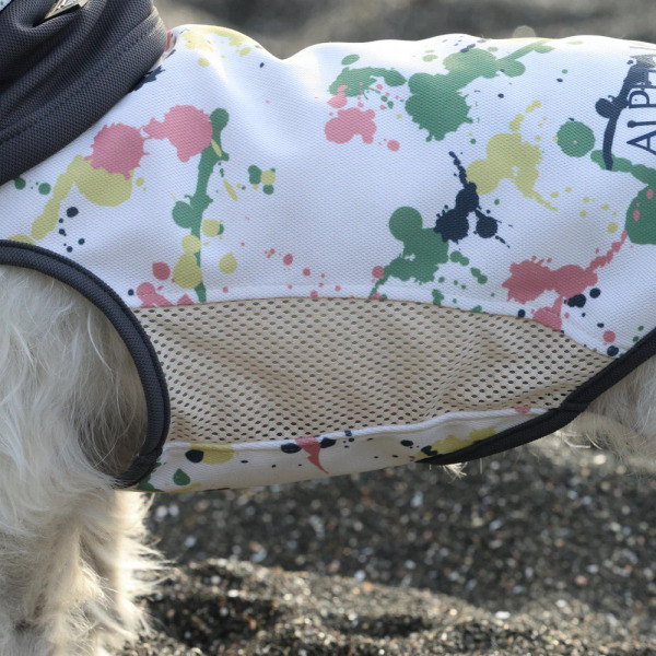 ALPHAICON 涼感背心 2025款