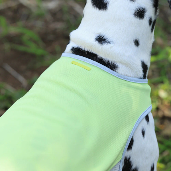 ALPHAICON 涼感背心 2025款