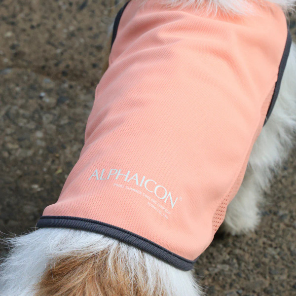 ALPHAICON 涼感背心 2025款