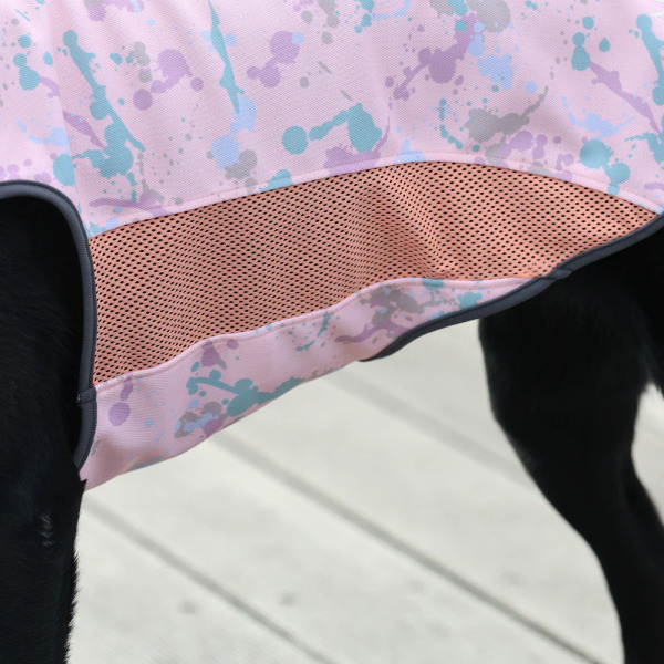 ALPHAICON 涼感背心 2025款