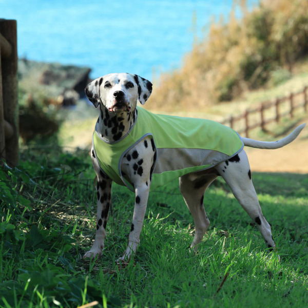 ALPHAICON 涼感背心 2025款