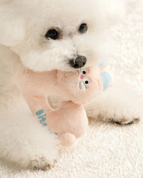 BITE ME 搖兔兔 造型玩具