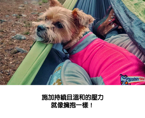 Thundershirt 安定背心