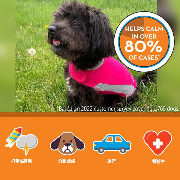 Thundershirt 安定背心