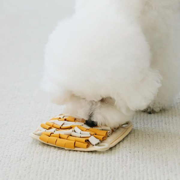 BITE ME 瘋狂松鼠 益智玩具