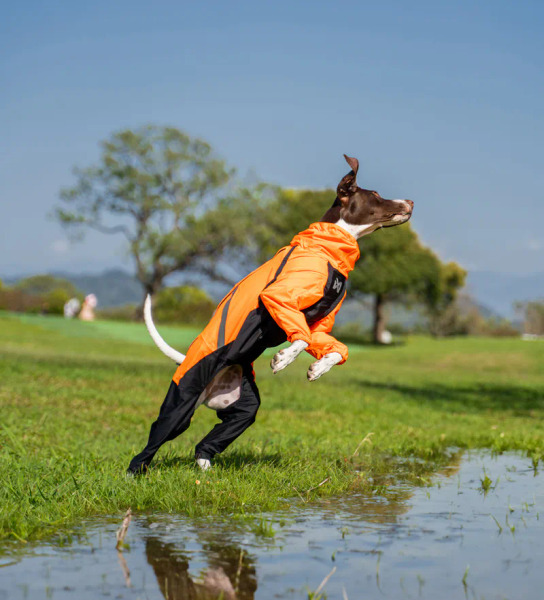Non-stop FJORD 彈性機能四腳雨衣