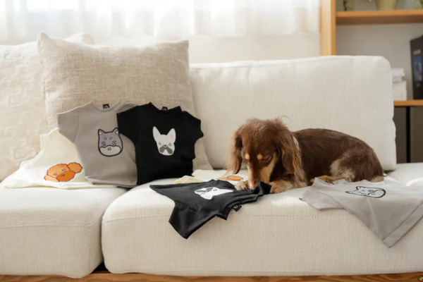 FAD 咬咬T 響紙玩具