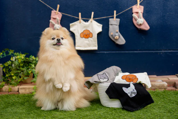 FAD 咬咬T 響紙玩具