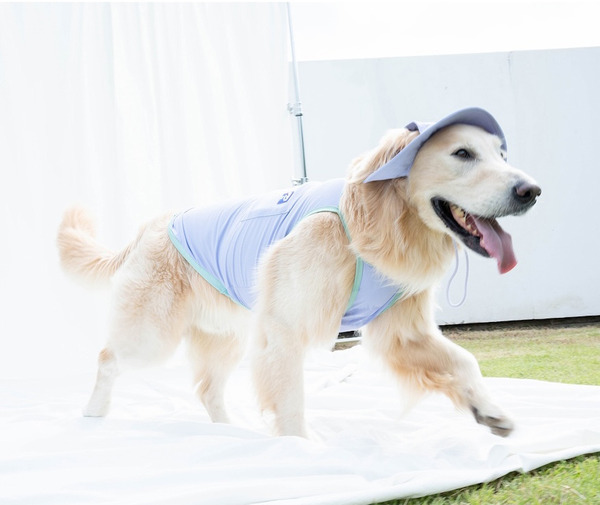 Puppy Gallery 外出涼感背心 2025款