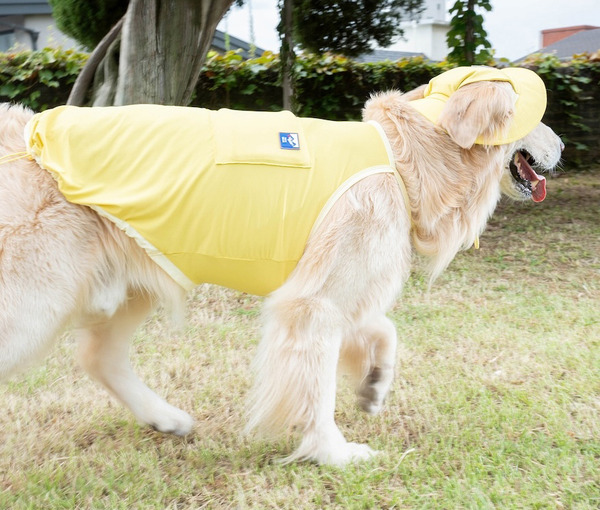 Puppy Gallery 外出涼感背心 2025款