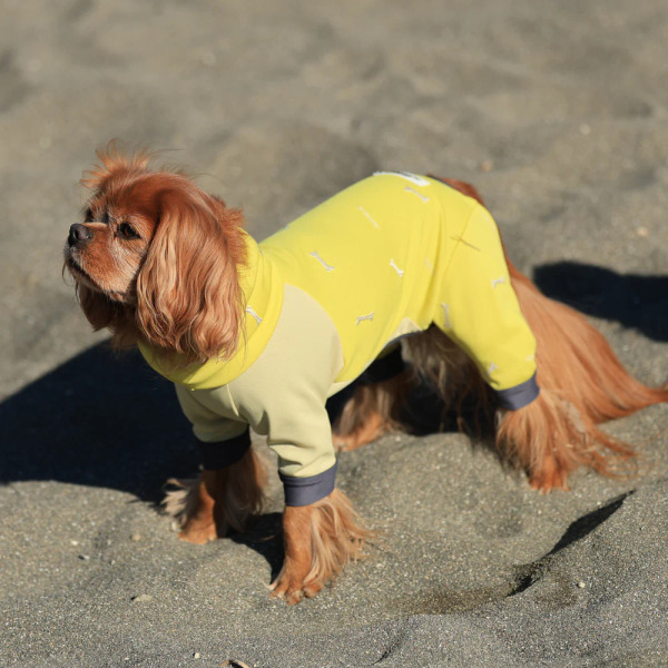 ALPHAICON 2025年款 防蟲四腳涼感衣