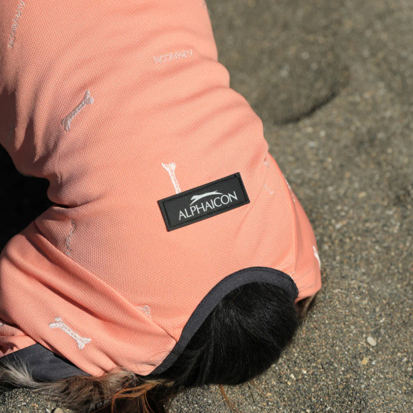 ALPHAICON 2025年款 防蟲四腳涼感衣