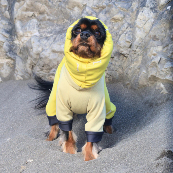 ALPHAICON 2025年款 防蟲四腳涼感衣