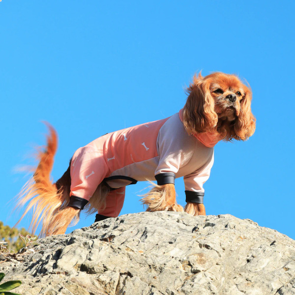 ALPHAICON 2025年款 防蟲四腳涼感衣