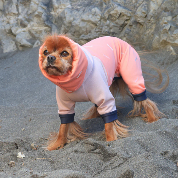 ALPHAICON 2025年款 防蟲四腳涼感衣