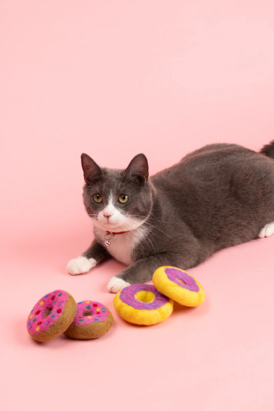 Mimi's Daughters 草莓糖霜甜甜圈