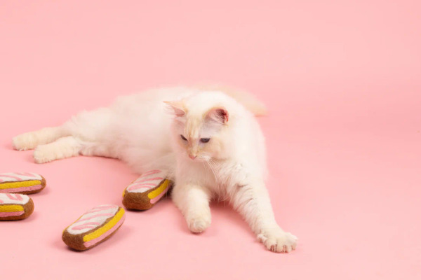 Mimi's Daughters 天使蛋糕切片