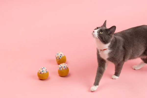 Mimi's Daughters 杯⼦蛋糕