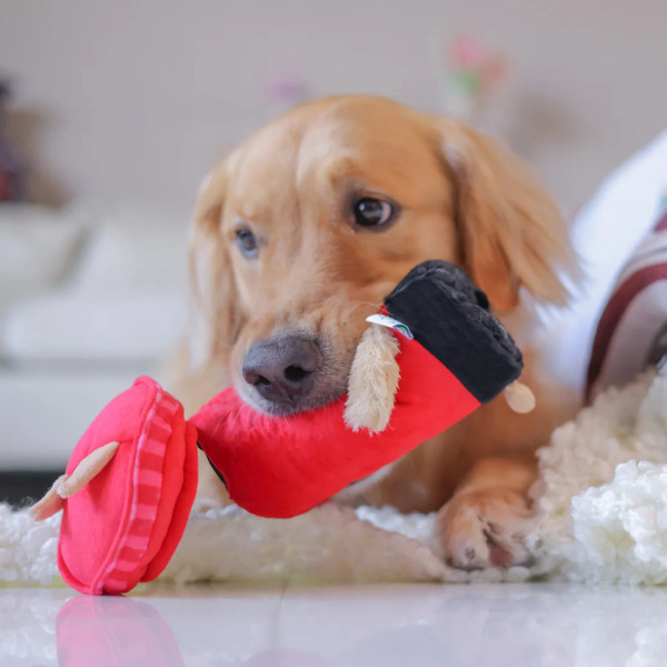 Woof² 英式郵筒漏食玩具