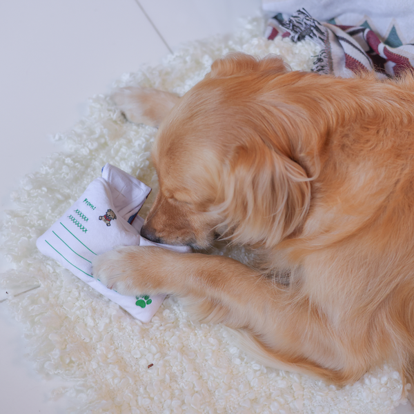 Woof² 香港空郵信件藏食玩具