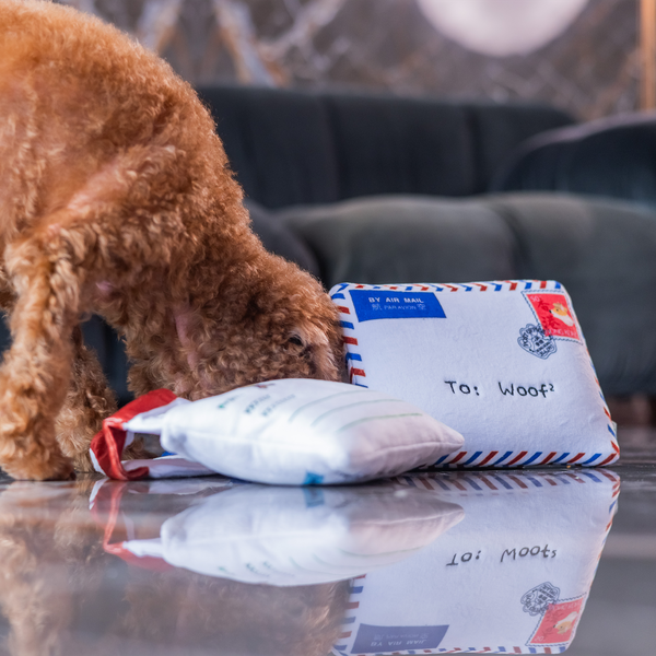 Woof² 香港空郵信件藏食玩具
