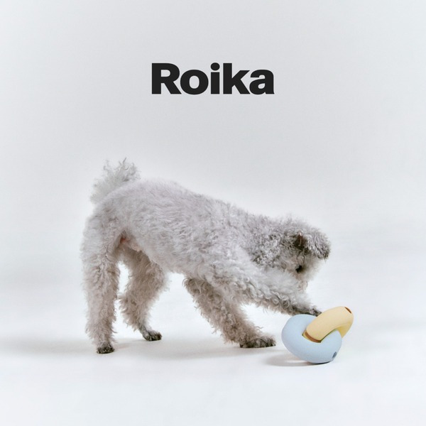 韓國Roika 多功能漏食玩具 Gori