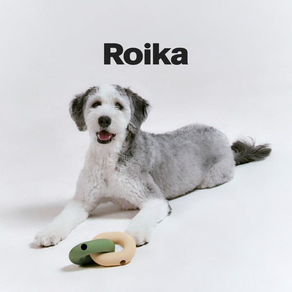 韓國Roika 多功能漏食玩具 Gori