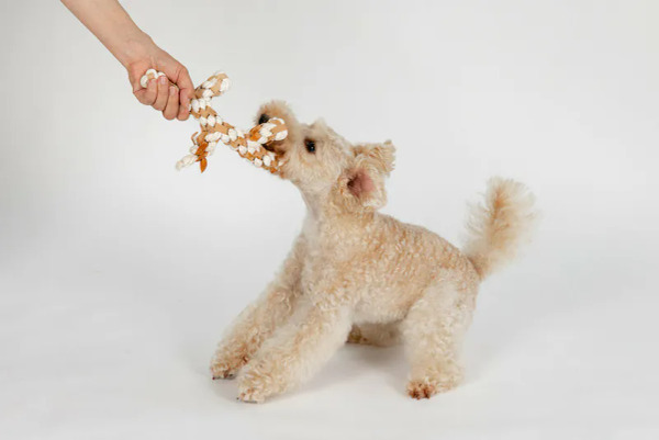 FAD 天然無毒耐咬皮革 皮樹枝