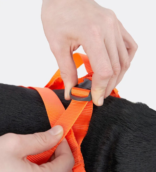 Non-stop 犬用救援背帶