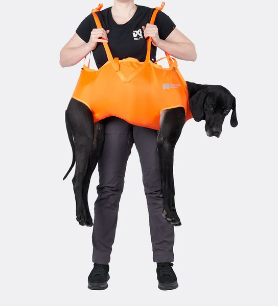 Non-stop 犬用救援背帶