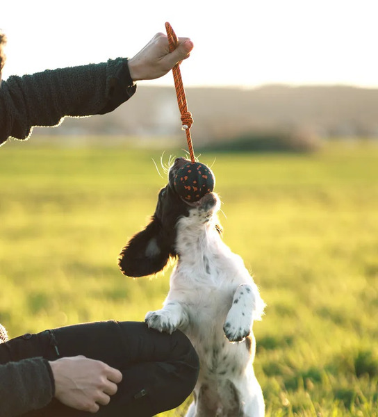 Non-stop 繩索咬球