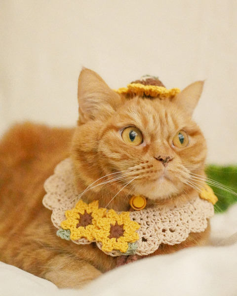 Qbabyxi pet 向日葵領巾