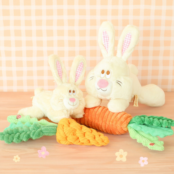 Bailey  黃兔一家