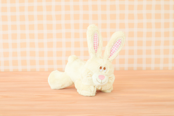 Bailey  黃兔一家