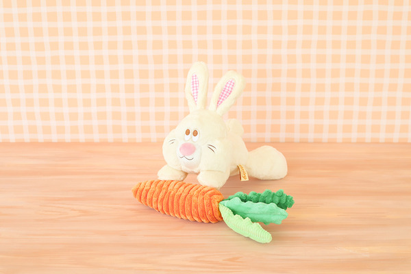 Bailey  黃兔一家