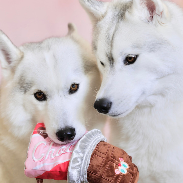 Bailey 巧克力系列