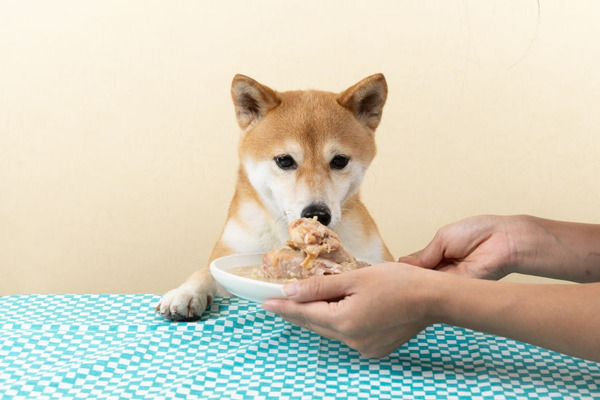 亞力山小 爐烤火雞鮮食餐包 200g