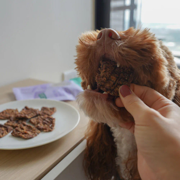 CoConilla 口口迷 羅勒地瓜鹿肉片